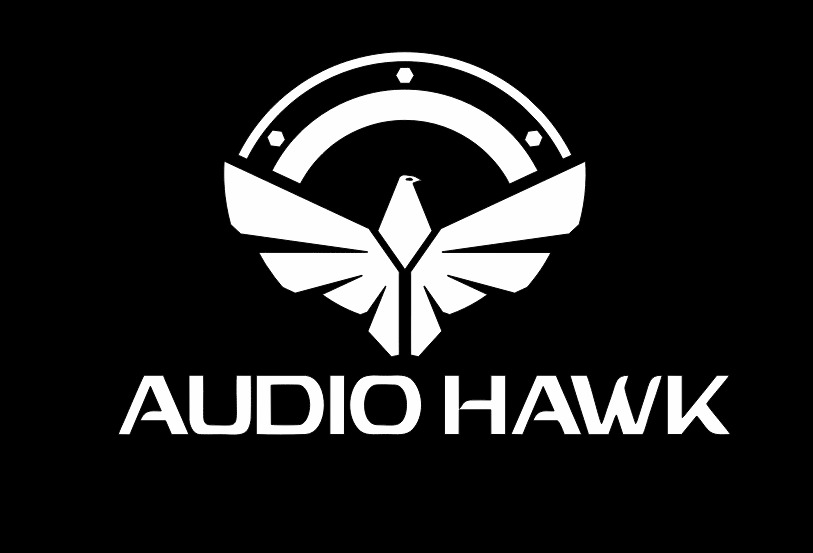 Audio Hawk